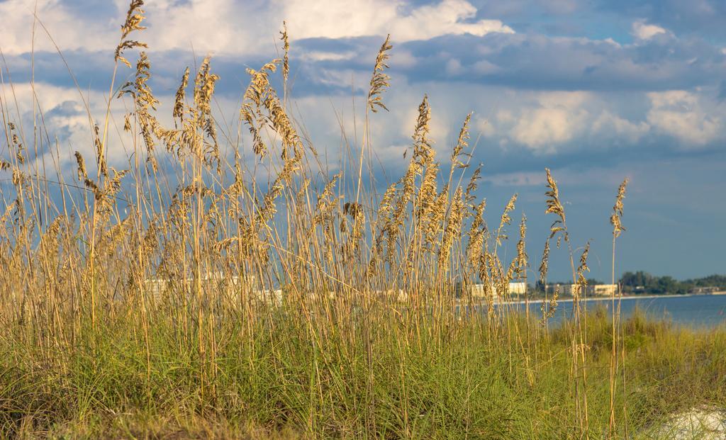 Minorga On The Key By Beachside Management Siesta Key Εξωτερικό φωτογραφία